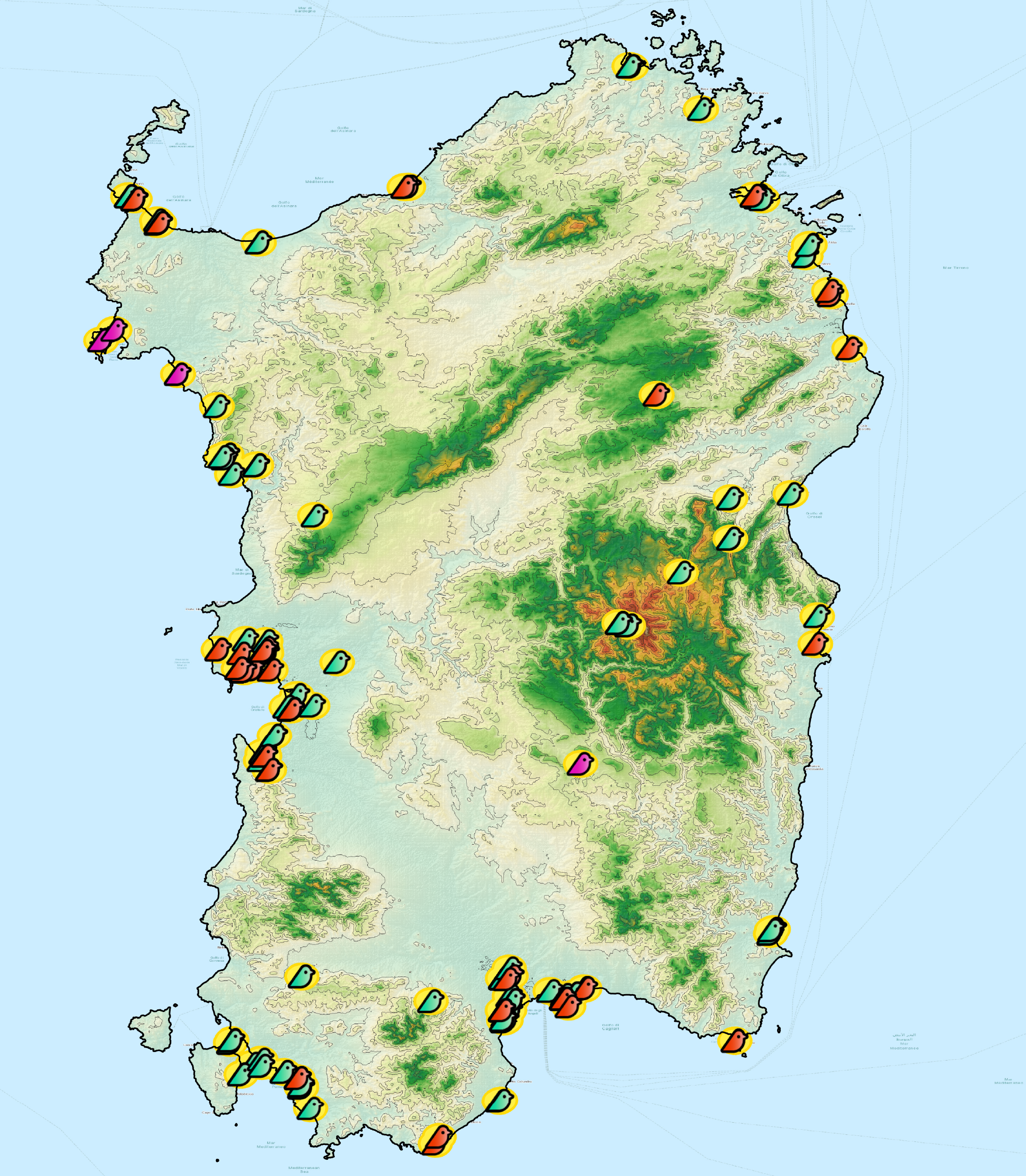 Sardinia-terrainAndBird no border